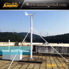 300W Smart Micro Wind Turbine
